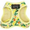 Sassy Woof Zest Friends Cat Harness -Cat Pet Supplies 1019734 MAIN. AC SS1800 V1699919012