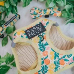 Sassy Woof Zest Friends Cat Harness -Cat Pet Supplies 1019734 PT2. AC SS1800 V1699915841