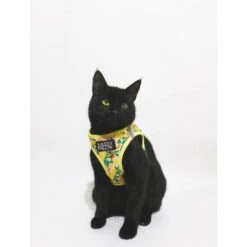 Sassy Woof Zest Friends Cat Harness -Cat Pet Supplies 1019734 PT3. AC SS1800 V1699919067