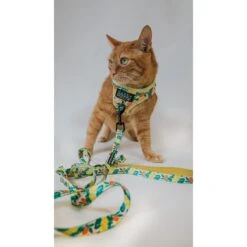 Sassy Woof Zest Friends Cat Leash, 6-ft Long 9 Sassy Woof Zest Friends Cat Leash, 6-ft Long -Cat Pet Supplies 1019830 PT3. AC SS1800 V1699915840