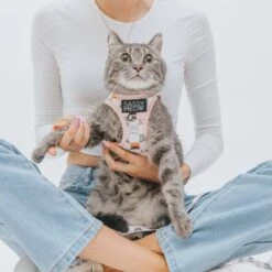 Sassy Woof Smitten Kittens Cat Harness -Cat Pet Supplies 1019894 PT3. AC SS1800 V1699915842