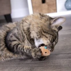 SmartyKat Chickadee Chirp Electronic Bird-Sound Cat Toy -Cat Pet Supplies 102753 PT8. AC SS1800 V1700689276