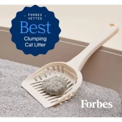 Boxiecat Premium Unscented Clumping Clay Cat Litter 15 Boxiecat Premium Unscented Clumping Clay Cat Litter -Cat Pet Supplies 103571 PT4. AC SS1800 V1643670727