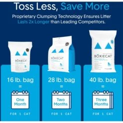 Boxiecat Premium Unscented Clumping Clay Cat Litter 17 Boxiecat Premium Unscented Clumping Clay Cat Litter -Cat Pet Supplies 103571 PT6. AC SS1800 V1643673743