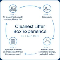 Boxiecat Premium Unscented Clumping Clay Cat Litter 18 Boxiecat Premium Unscented Clumping Clay Cat Litter -Cat Pet Supplies 103571 PT7. AC SS1800 V1643670694