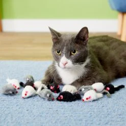 Penn-Plax Purr Pet Bag Of Mice Cat Toy, Color Varies -Cat Pet Supplies 103731 PT2. AC SS1800 V1595370657