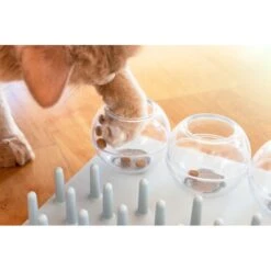 TRIXIE Activity Fun Board 5-in-1 Activity Strategy Game Cat Toy 14 TRIXIE Activity Fun Board 5-in-1 Activity Strategy Game Cat Toy -Cat Pet Supplies 107255 PT4. AC SS1800 V1686331326