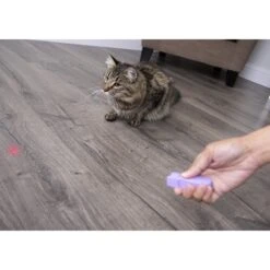 SmartyKat Feline Flash Laser Pointer Cat Toy -Cat Pet Supplies 107603 PT2. AC SS1800 V1599754693
