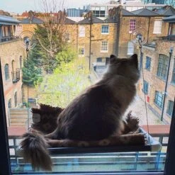 Kitty Cot Original World's Best Cat Perch -Cat Pet Supplies 108559 PT1. AC SS1800 V1568668920