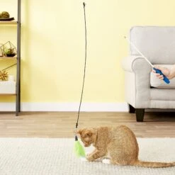 Pet Fit For Life 2 Feather Retractable Wand Cat Toy, Blue & Green 12 Pet Fit For Life 2 Feather Retractable Wand Cat Toy, Blue & Green -Cat Pet Supplies 109322 PT2. AC SS1800 V1553884390
