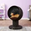 The Refined Feline Kitty Ball Cat Bed -Cat Pet Supplies 111384 MAIN. AC SS1800 V1565383196