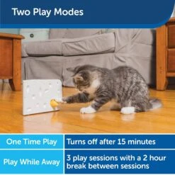 PetSafe Cheese Motion Cat Toy -Cat Pet Supplies 114120 PT3. AC SS1800 V1599813056