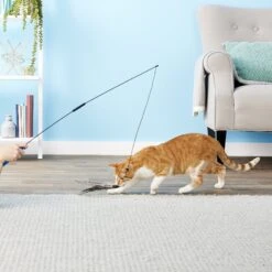 Pet Fit For Life 2 Guinea Feather Wand Cat Toy -Cat Pet Supplies 123811 PT2. AC SS1800 V1589320605