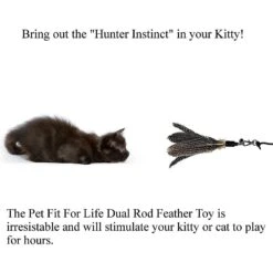 Pet Fit For Life 2 Guinea Feather Wand Cat Toy -Cat Pet Supplies 123811 PT4. AC SS1800 V1589320679