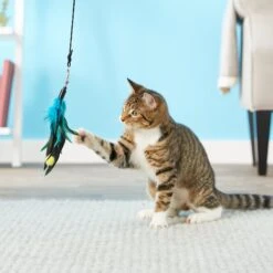 Pet Fit For Life 4 Piece Dual Rod Wand Cat Toy 12 Pet Fit For Life 4 Piece Dual Rod Wand Cat Toy -Cat Pet Supplies 123822 PT2. AC SS1800 V1589320598