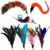 Pet Fit For Life 7 Piece Replacement Feather Pack For Wand Cat Toy -Cat Pet Supplies 123827 MAIN. AC SS1800 V1589320865