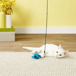 Pet Fit For Life 7 Piece Replacement Feather Pack For Wand Cat Toy 13 Pet Fit For Life 7 Piece Replacement Feather Pack For Wand Cat Toy -Cat Pet Supplies 123827 PT2. AC SS1800 V1589320880