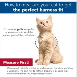 Comfort Soft Mesh Cat Harness -Cat Pet Supplies 128175 PT8. AC SS1800 V1678124310