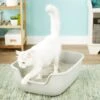 PetFusion BetterBox Non-Stick Cat Litter Box 2 PetFusion BetterBox Non-Stick Cat Litter Box -Cat Pet Supplies 133670 MAIN. AC SS1800 V1565284824
