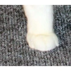 Drymate Corner Ridged Cat Litter Trapping Mat, Grey, 29.5-in X 29.5-in -Cat Pet Supplies 134952 PT7. AC SS1800 V1502744879