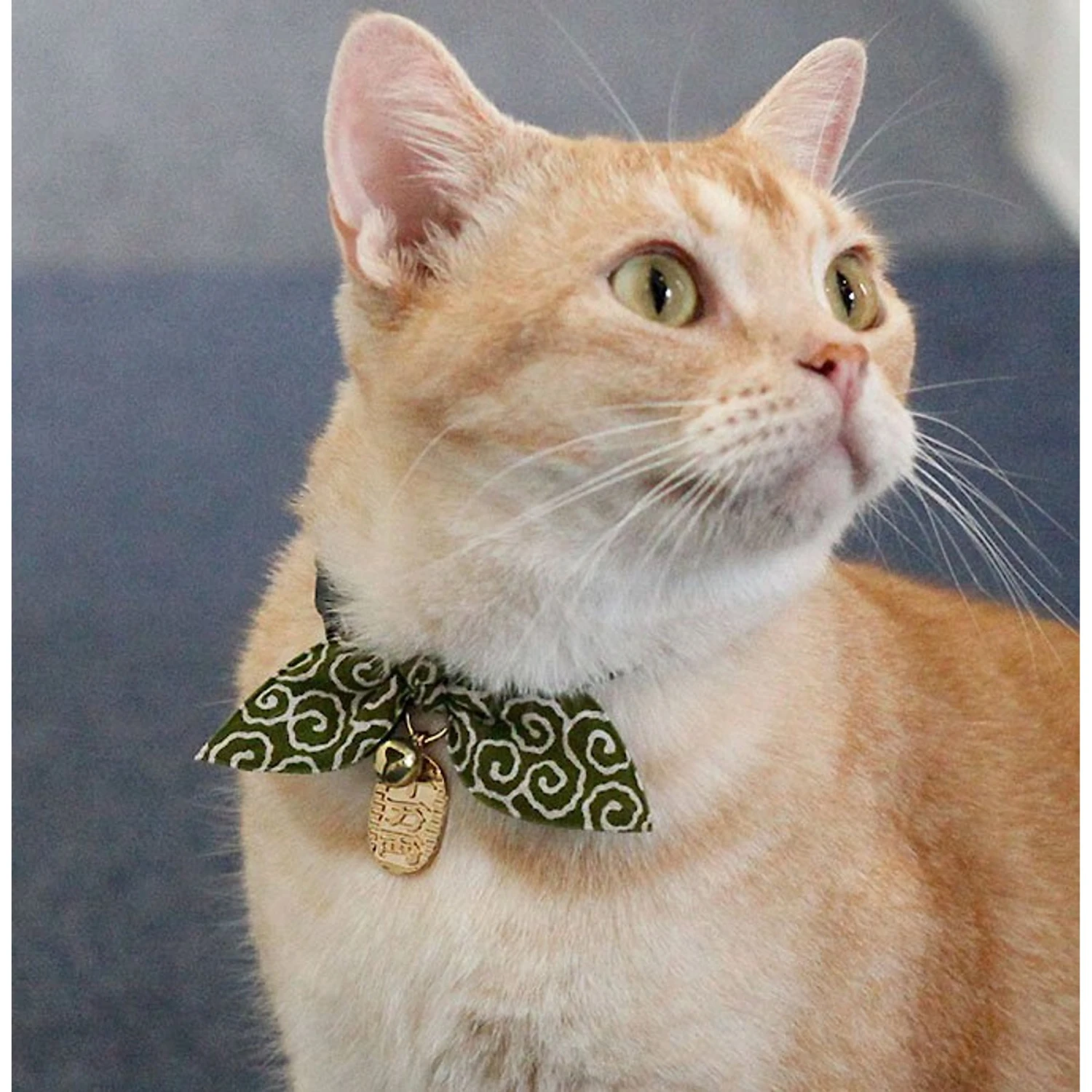 Necoichi Ninja Cotton Breakaway Cat Collar With Bell 7 Necoichi Ninja Cotton Breakaway Cat Collar With Bell - Image 5