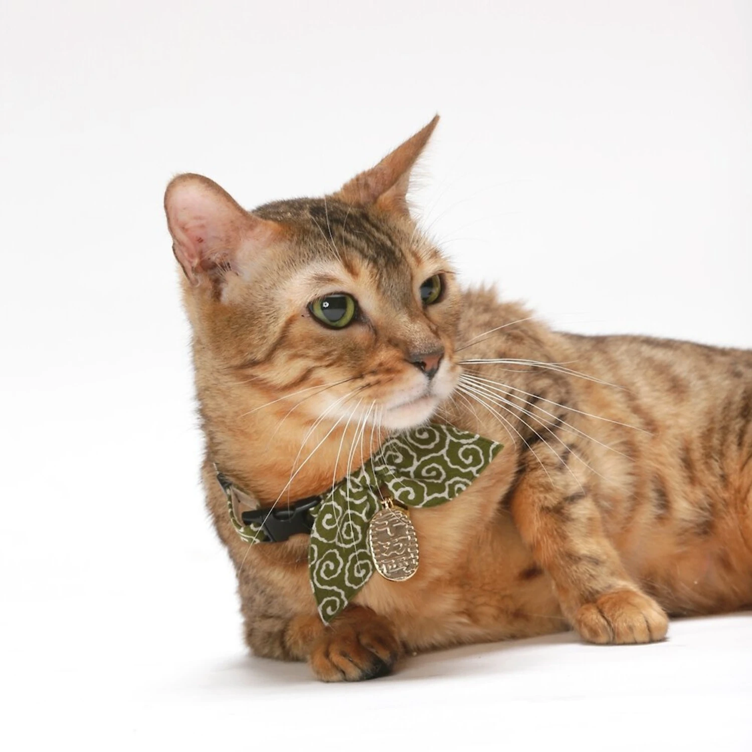 Necoichi Ninja Cotton Breakaway Cat Collar With Bell 8 Necoichi Ninja Cotton Breakaway Cat Collar With Bell - Image 6