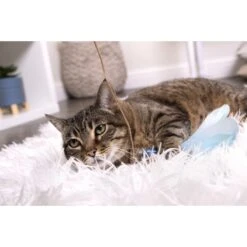 SmartyKat Frisky Flyer Feather Wand Cat Toy -Cat Pet Supplies 137512 PT8. AC SS1800 V1575488129