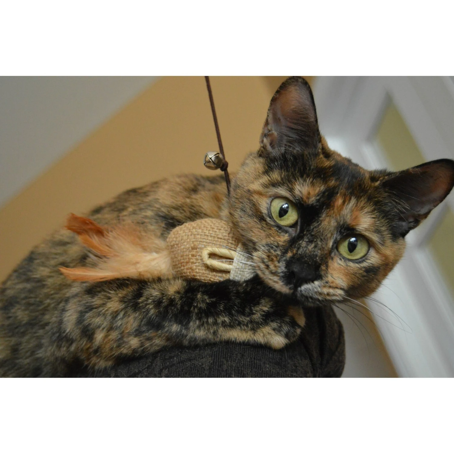 Earthtone Solutions Sisal Wand Mouse Teaser Cat Toy 5 Earthtone Solutions Sisal Wand Mouse Teaser Cat Toy - Image 3