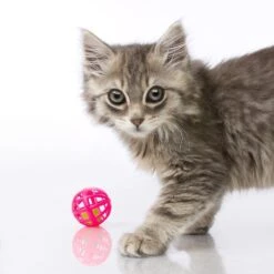 Hartz Just For Cats Toy Variety Pack, 13 Count -Cat Pet Supplies 139111 PT3. AC SS1800 V1589230986