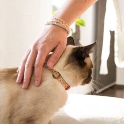 Pettsie Cotton Breakaway Cat Collar With Friendship Bracelet -Cat Pet Supplies 139122 PT5. AC SS1800 V1507065003