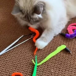 Pet Fit For Life 5 Piece Squiggly Worm Wand Cat Toy -Cat Pet Supplies 140078 PT2. AC SS1800 V1589320918
