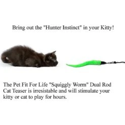 Pet Fit For Life 5 Piece Squiggly Worm Wand Cat Toy -Cat Pet Supplies 140078 PT3. AC SS1800 V1589320919