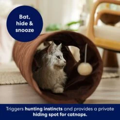 Frisco 47-in Foldable Crinkle Play Tunnel With 2 Windows -Cat Pet Supplies 140168 PT3. AC SS1800 V1695241917