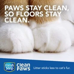 Fresh Step Clean Paws Scented Clumping Clay Cat Litter 14 Fresh Step Clean Paws Scented Clumping Clay Cat Litter -Cat Pet Supplies 141502 PT3. AC SS1800 V1694464765