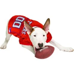 Pets First NCAA Dog & Cat Mesh Jersey -Cat Pet Supplies 142188 PT3. AC SS1800 V1538433441