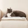 Frisco Reversible Square Cat Pad 1 Frisco Reversible Square Cat Pad -Cat Pet Supplies 144826 MAIN. AC SS1800 V1566936429