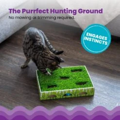 Catstages Grass Patch Hunting Box Cat Scratcher Toy 11 Catstages Grass Patch Hunting Box Cat Scratcher Toy -Cat Pet Supplies 148104 PT2. AC SS1800 V1631679976
