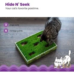 Catstages Grass Patch Hunting Box Cat Scratcher Toy 12 Catstages Grass Patch Hunting Box Cat Scratcher Toy -Cat Pet Supplies 148104 PT3. AC SS1800 V1631683023