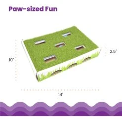 Catstages Grass Patch Hunting Box Cat Scratcher Toy 13 Catstages Grass Patch Hunting Box Cat Scratcher Toy -Cat Pet Supplies 148104 PT4. AC SS1800 V1631685751