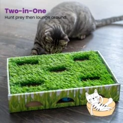 Catstages Grass Patch Hunting Box Cat Scratcher Toy 14 Catstages Grass Patch Hunting Box Cat Scratcher Toy -Cat Pet Supplies 148104 PT5. AC SS1800 V1631689013