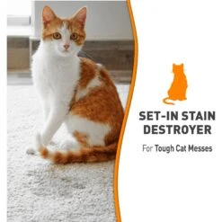 Nature's Miracle Cat Oxy Formula Set-In Stain Destroyer & Odor Remover Spray -Cat Pet Supplies 152168 PT6. AC SS1800 V1701114550