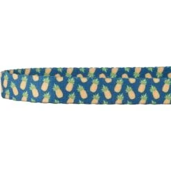 Frisco Pineapple Polyester Breakaway Cat Collar With Bell -Cat Pet Supplies 153158 PT3. AC SS1800 V1568380088