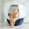 Frisco Hooded Cat Litter Box 1 Frisco Hooded Cat Litter Box -Cat Pet Supplies 153376 MAIN. AC SS1800 V1675280052