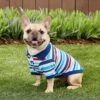 Frisco Striped Dog & Cat Polo Shirt, Red & Blue 2 Frisco Striped Dog & Cat Polo Shirt, Red & Blue -Cat Pet Supplies 153590 MAIN. AC SS1800 V1674158971