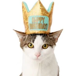 Frisco Happy Birthday Dog & Cat Crown 10 Frisco Happy Birthday Dog & Cat Crown -Cat Pet Supplies 153665 PT2. AC SS1800 V1551230979