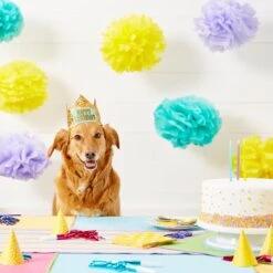 Frisco Happy Birthday Dog & Cat Crown 13 Frisco Happy Birthday Dog & Cat Crown -Cat Pet Supplies 153665 PT5. AC SS1800 V1551231039