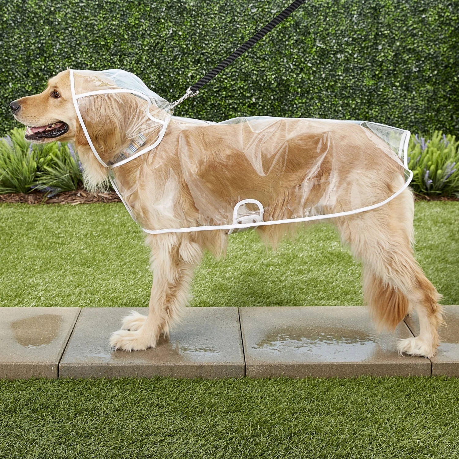 Frisco Lightweight Clear Vinyl Dog Raincoat 8 Frisco Lightweight Clear Vinyl Dog Raincoat - Image 6