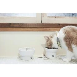 Necoichi Ceramic Elevated Cat Food & Water Bowl Set 10 Necoichi Ceramic Elevated Cat Food & Water Bowl Set -Cat Pet Supplies 154902 PT2. AC SS1800 V1542038820