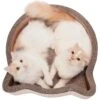 Necoichi Cat Head Scratcher Bed 1 Necoichi Cat Head Scratcher Bed -Cat Pet Supplies 154905 MAIN. AC SS1800 V1646413287