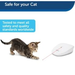 PetSafe Laser Tail Laser Cat Toy -Cat Pet Supplies 159065 PT6. AC SS1800 V1599844269